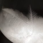 %e3%83%86%e3%83%b3%e3%83%9d2