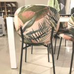 カリガリスINES2