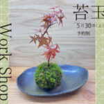 苔玉ワークショップ