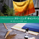 ハグみじゅうたんクリーニング4.2