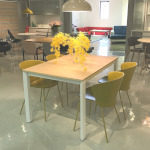 カリガリスducaS