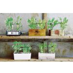 urbangreen604
